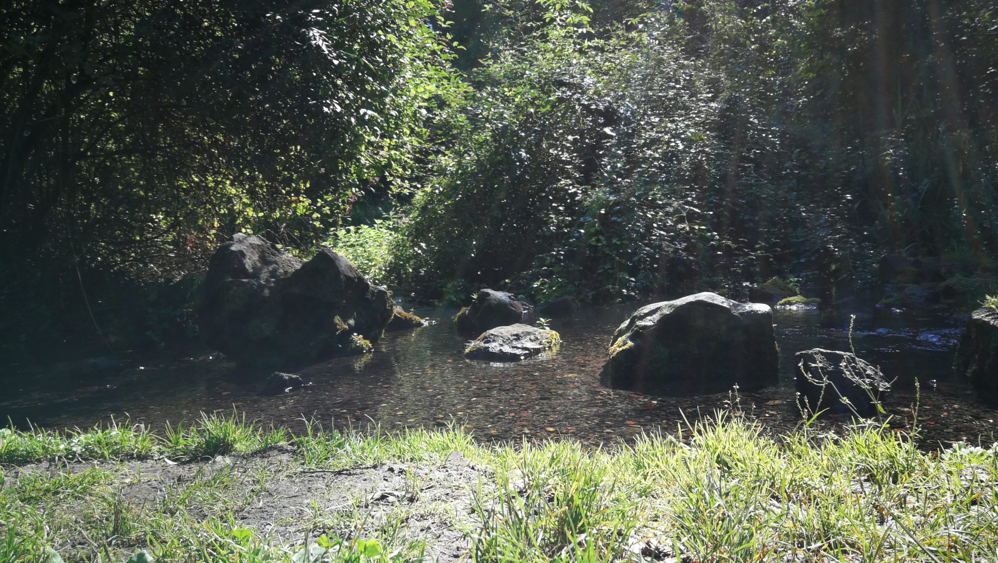 Ruta Olot - Fageda d'en Jordà - Sant Martí del Corb - Sant Miquel del Corb - Font Moixina