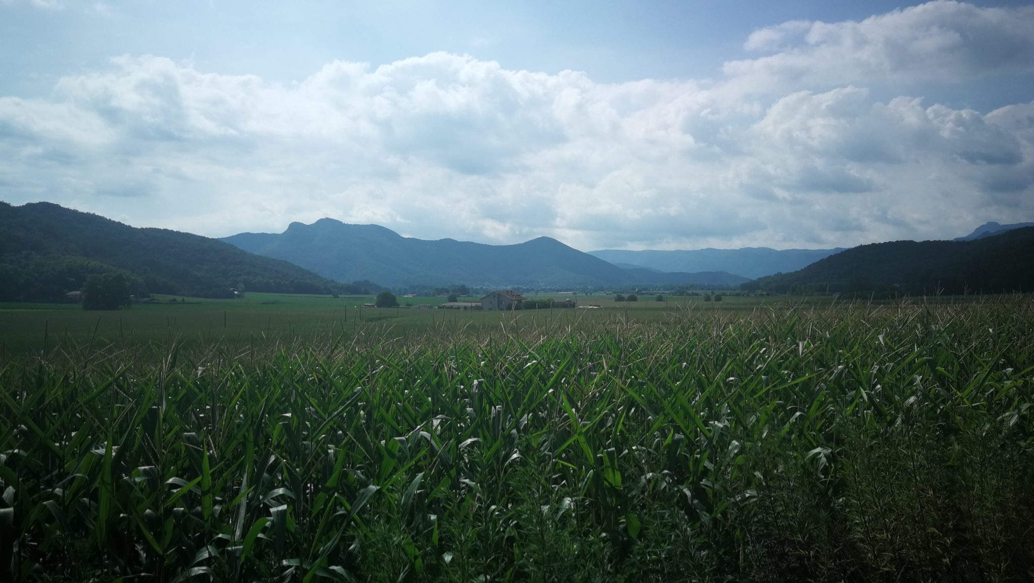 Ruta Olot -Serra de Sant Valentí de la Pinya - Carrilet