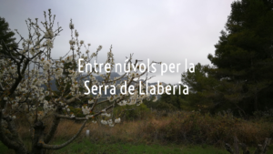 Entre núvols per la Serra de Llaberia